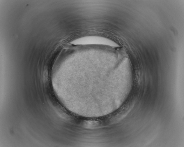 X0000112090220200909011111