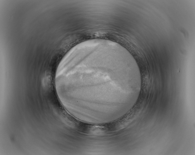 X0000112090222200909011111