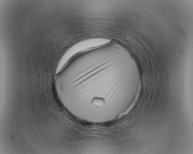 X0000112090223200909011111