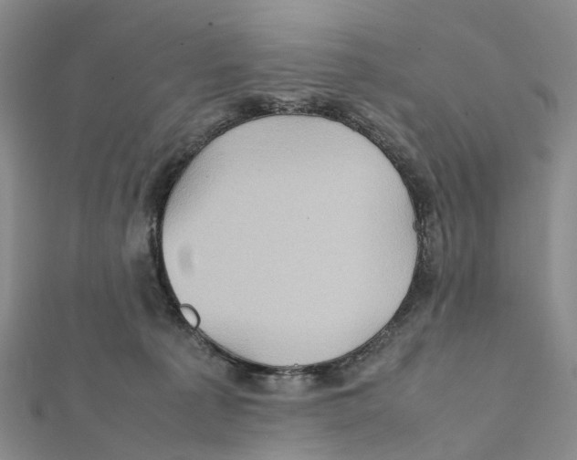 X0000112090225200909011111