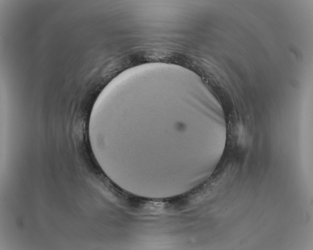 X0000112090227200909011110