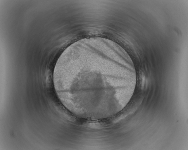 X0000112090228200909011110