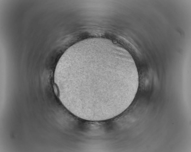 X0000112090229200909011110