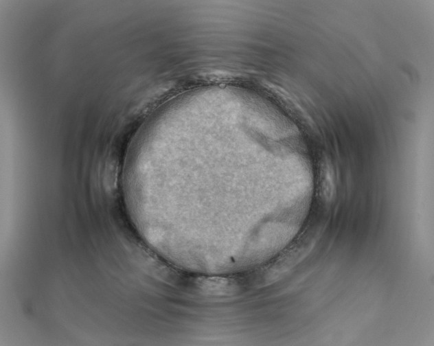 X0000112090230200909011110