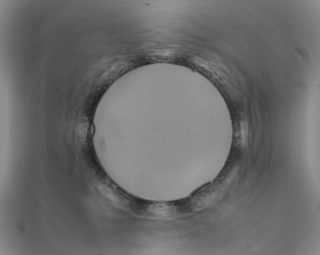 X0000112090231200909011110