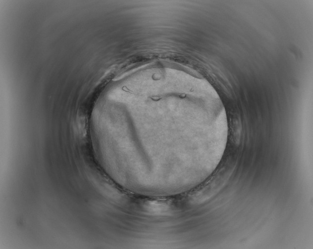 X0000112090232200909011110