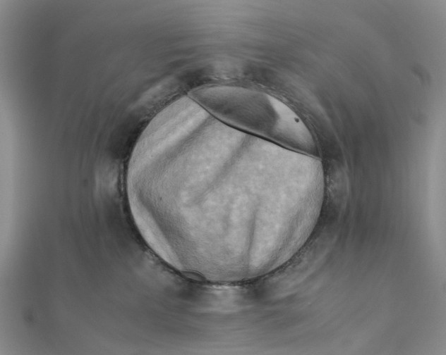 X0000112090233200909011110