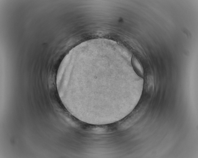 X0000112090236200909011110