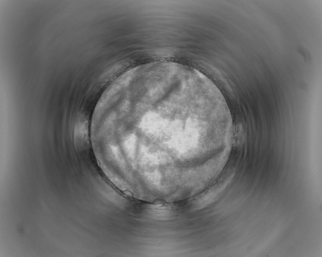 X0000112090238200909011110