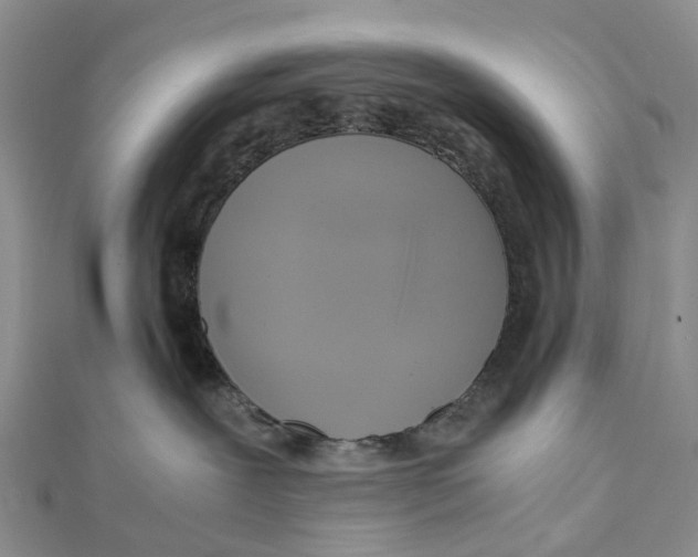 X0000112090239200909011110