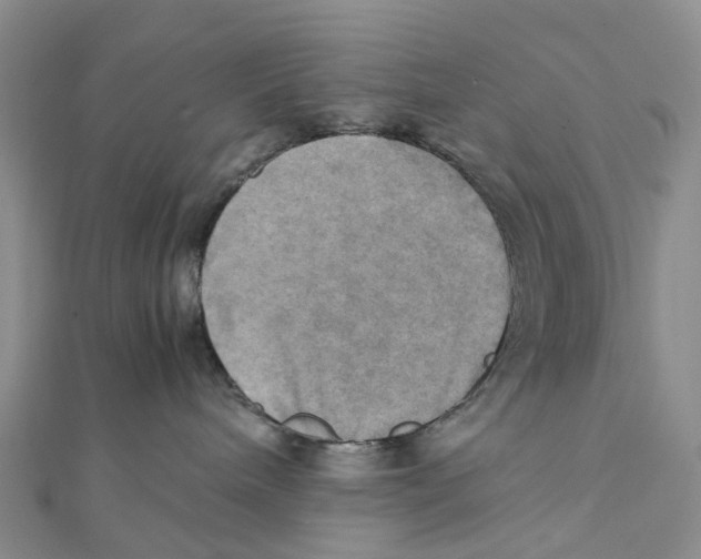 X0000112090240200909011110