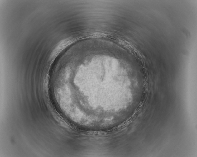 X0000112090242200909011110
