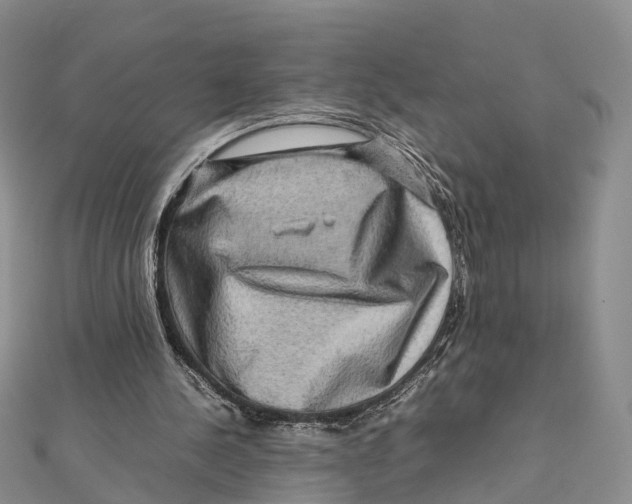 X0000112090244200909011110