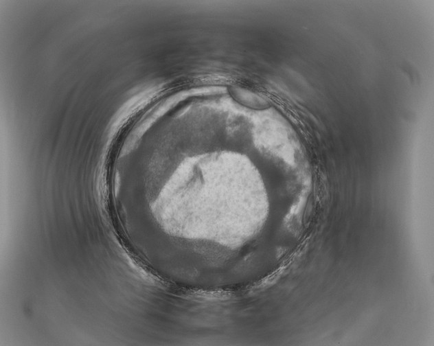X0000112090245200909011110