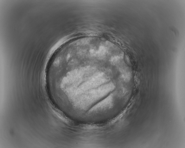 X0000112090246200909011110