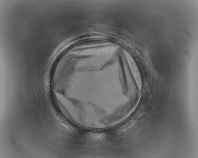 X0000112090247200909011110