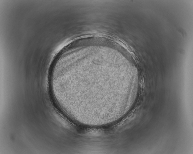 X0000112090248200909011110
