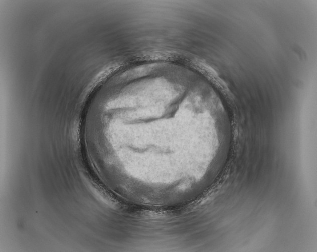 X0000112090250200909011110
