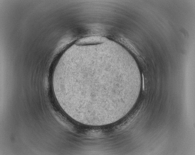 X0000112090252200909011110