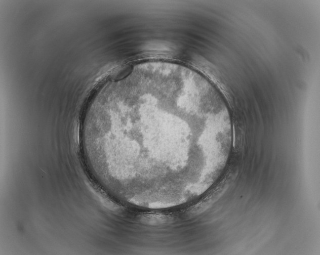 X0000112090253200909011110