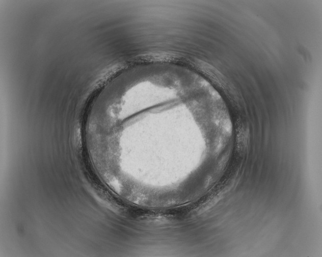 X0000112090254200909011110