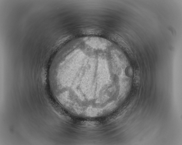 X0000112090255200909011110