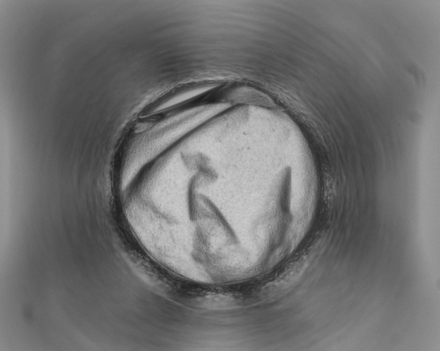 X0000112090256200909011110