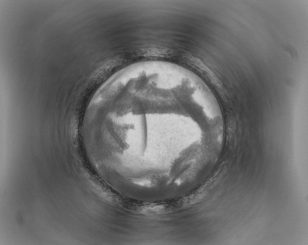 X0000112090257200909011110