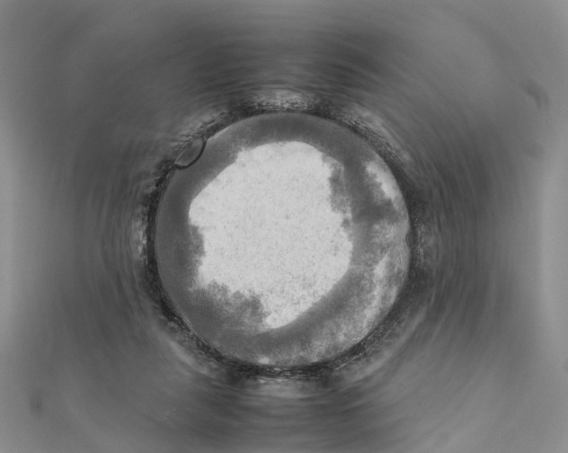 X0000112090259200909011110