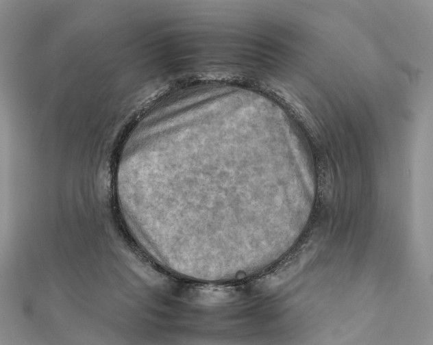 X0000112090261200909011110