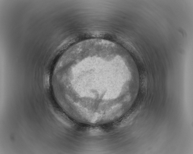 X0000112090262200909011110