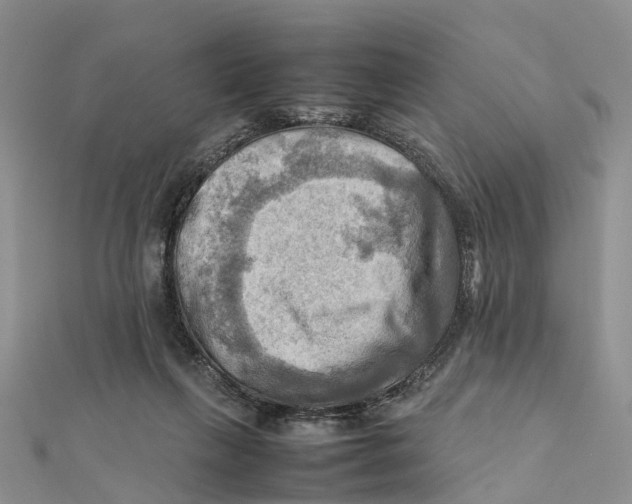 X0000112090263200909011110