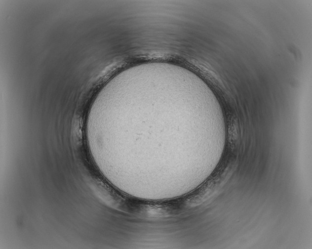 X0000112090264200909011110