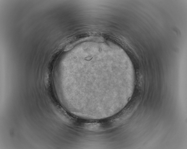 X0000112090266200909011110