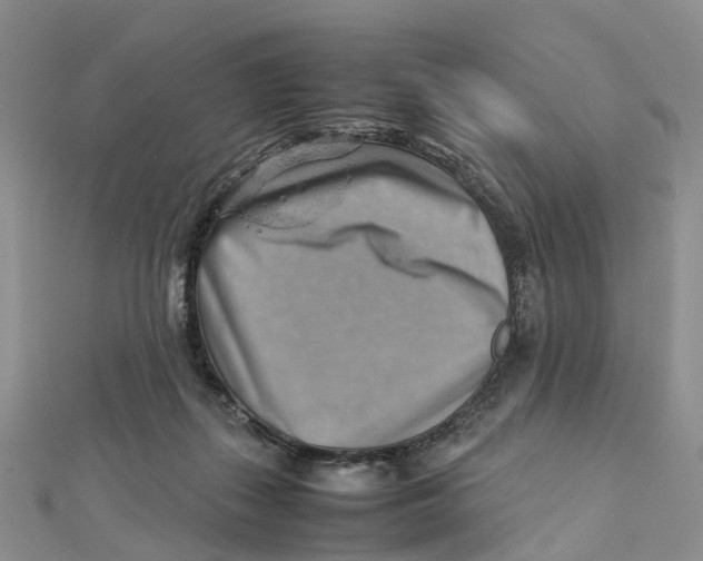 X0000112090267200909011110