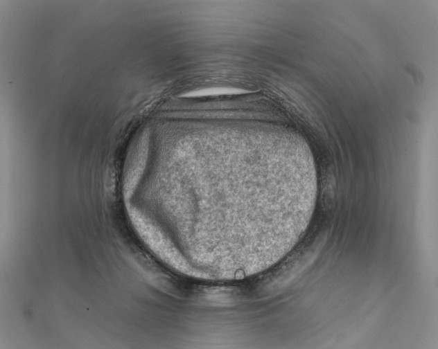 X0000112090268200909011110