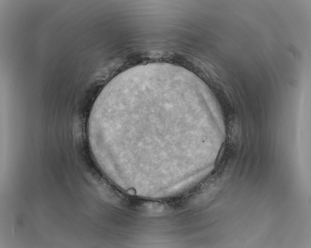 X0000112090272200909011110