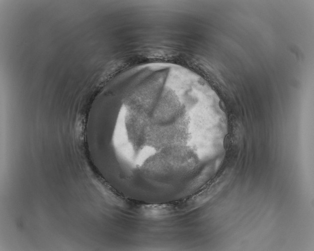 X0000112090273200909011110