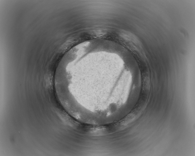X0000112090274200909011110