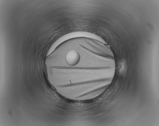 X0000112090276200909011110