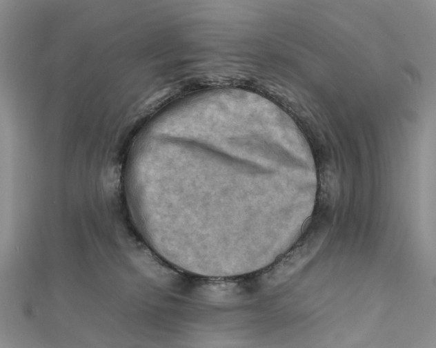 X0000112090278200909011110