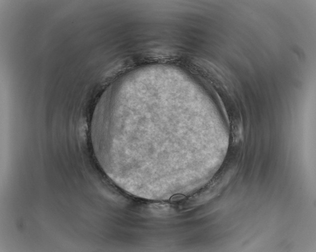 X0000112090279200909011110