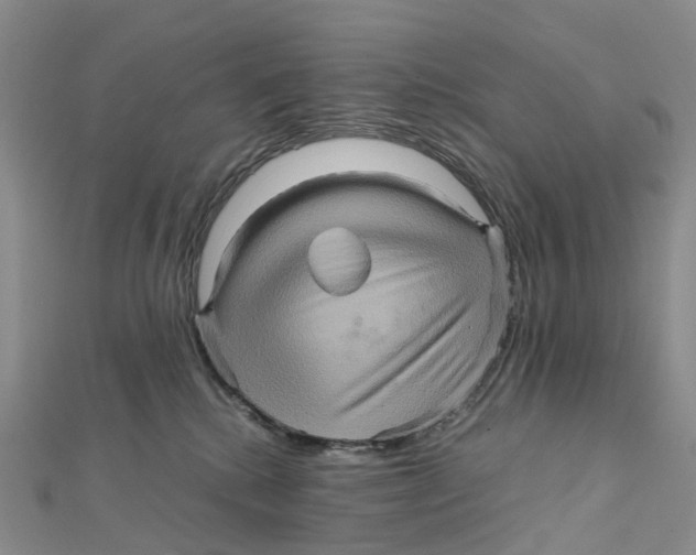X0000112090280200909011110