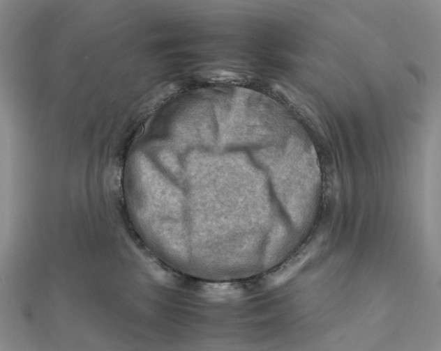 X0000112090281200909011110