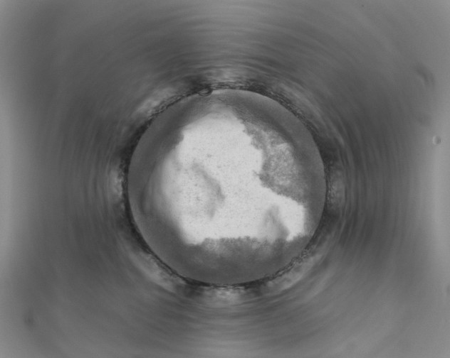 X0000112090282200909011110