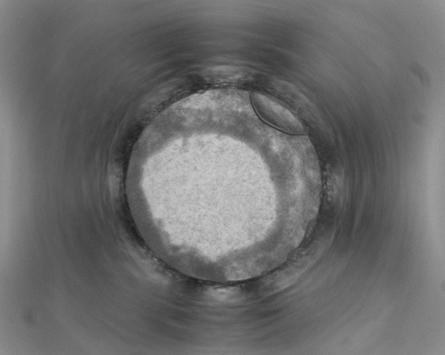 X0000112090283200909011110