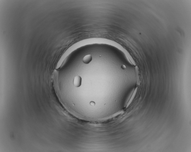 X0000112090284200909011110