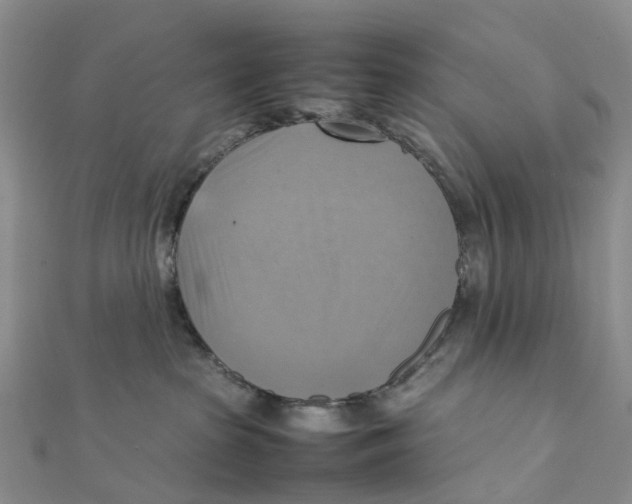 X0000112090285200909011110