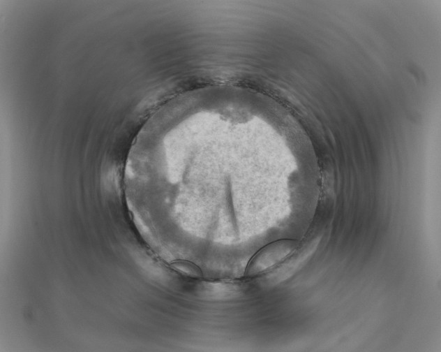 X0000112090286200909011110