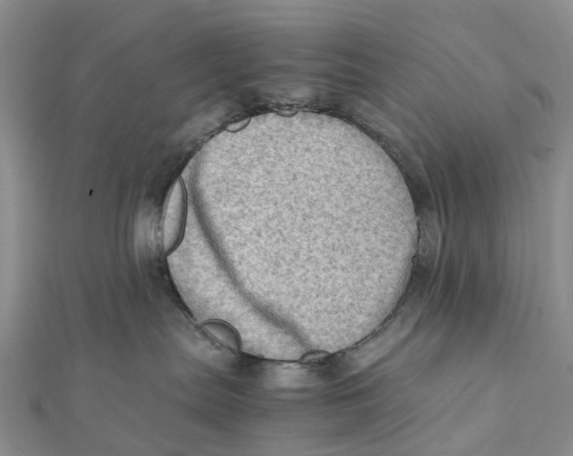 X0000112090287200909011110